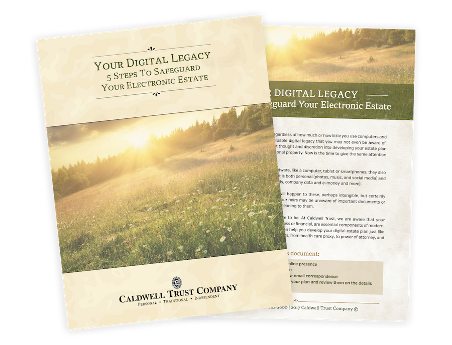 Safeguard Electronic Estate